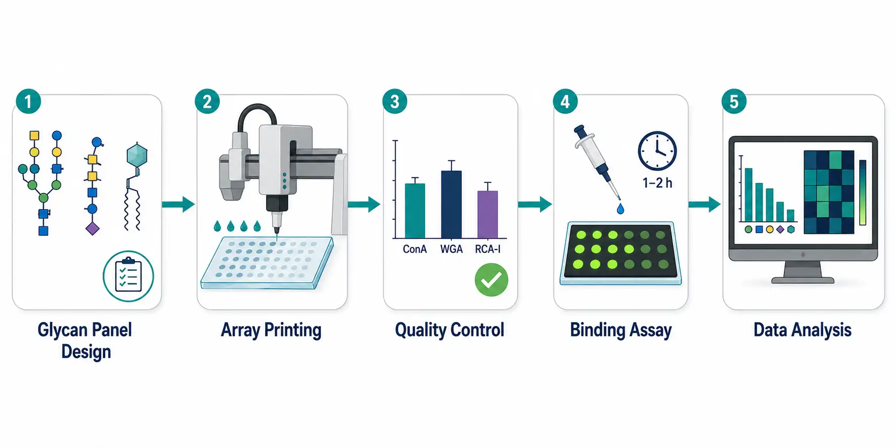Figure 3: Complete workflow