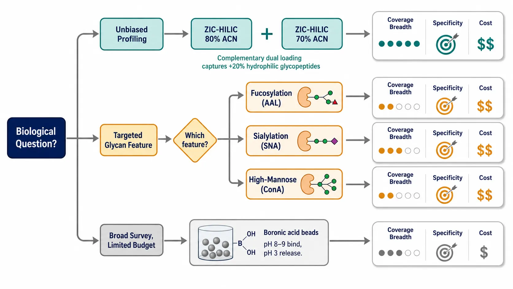Figure 2: Decision tree for glycopeptide enrichment method selection