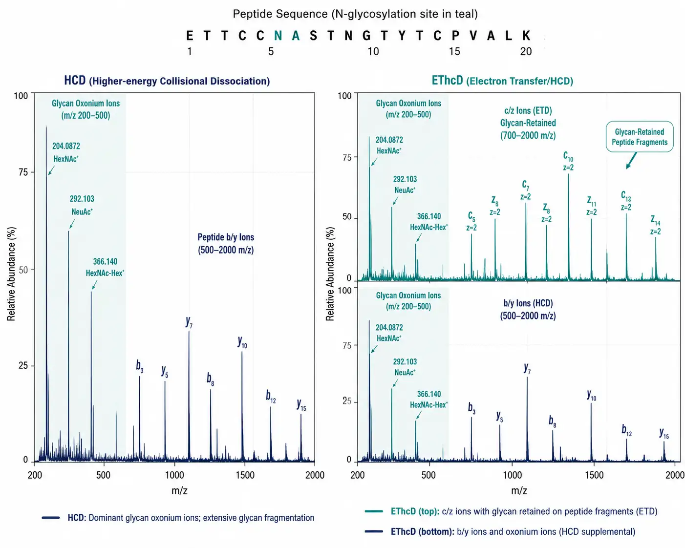 Figure 3: HCD vs EThcD fragmentation comparison spectra