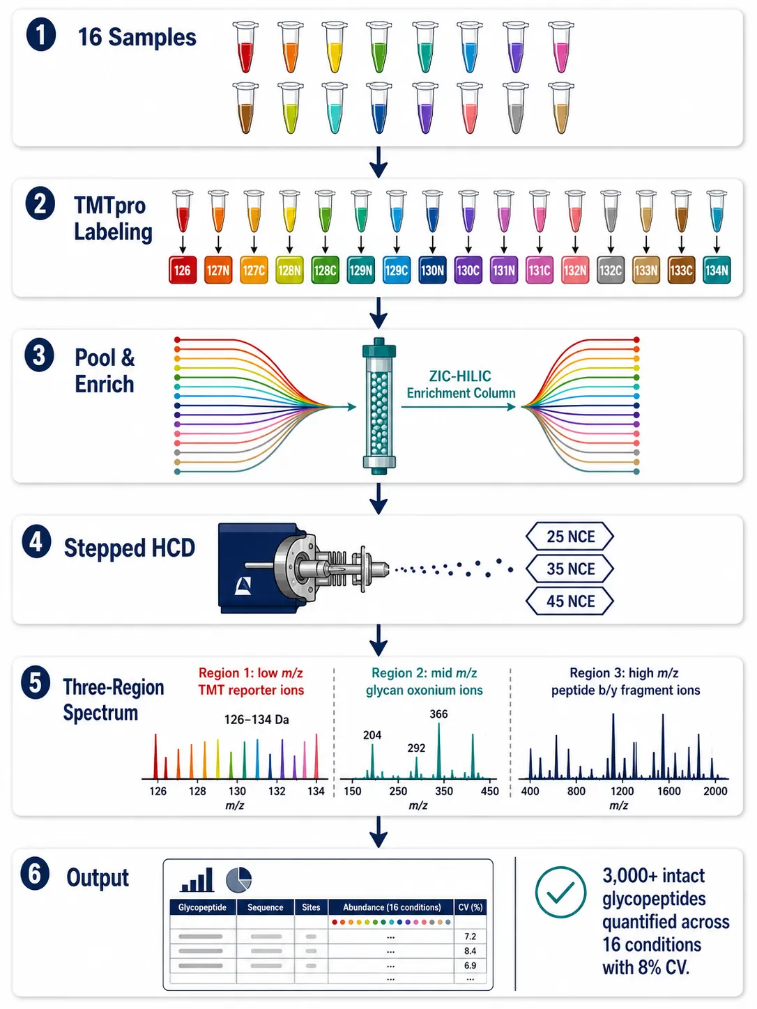 Figure 5: SugarQuant TMT-based quantitative glycoproteomics workflow