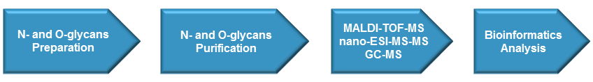 Glycosylation Analysis Service