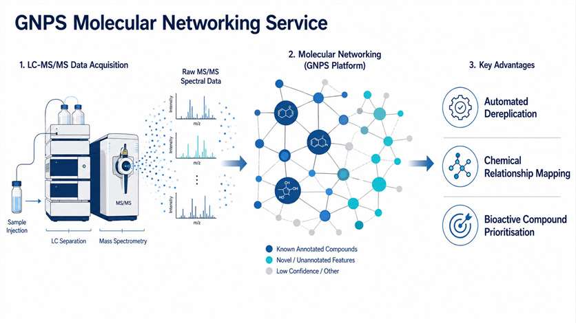 GNPS molecular networking service overview with spectra and network