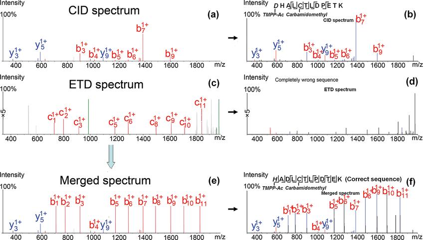 Guide to Peptide Sequencing Techniques and Optimization Strategies