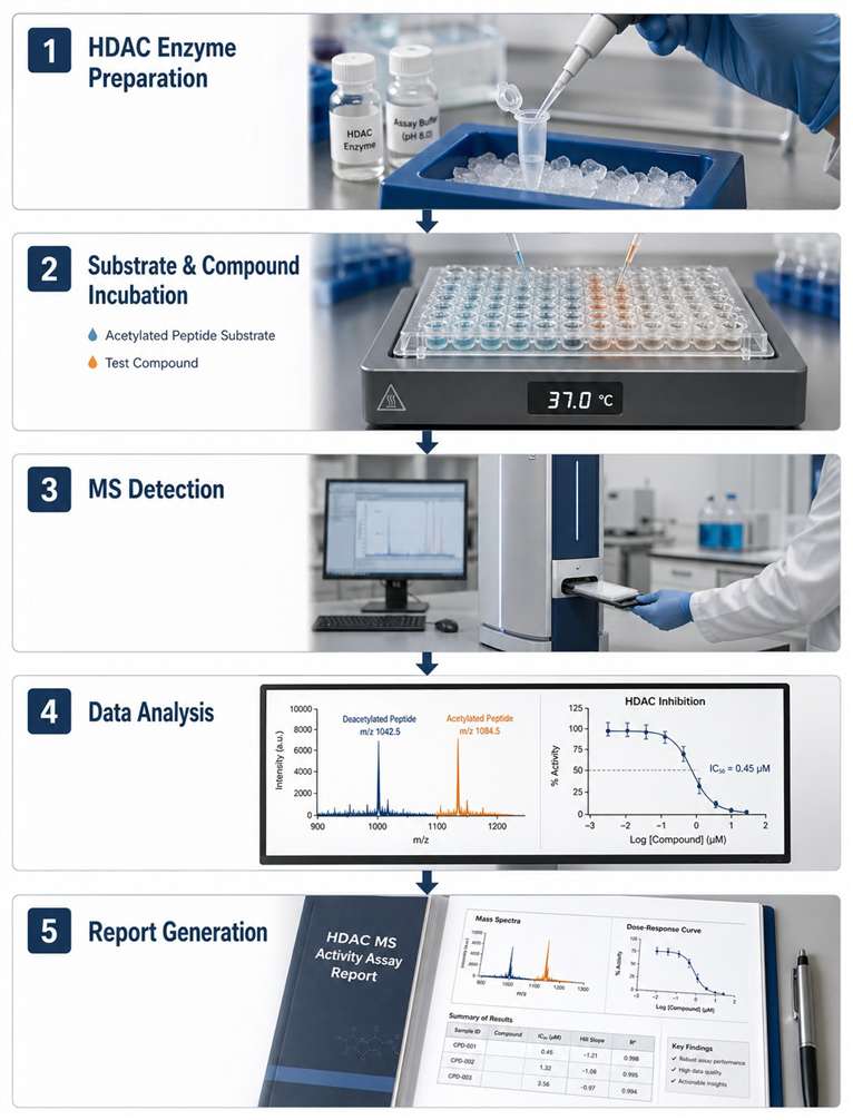 HDAC MS activity assay workflow diagram showing five steps from enzyme preparation to report generation