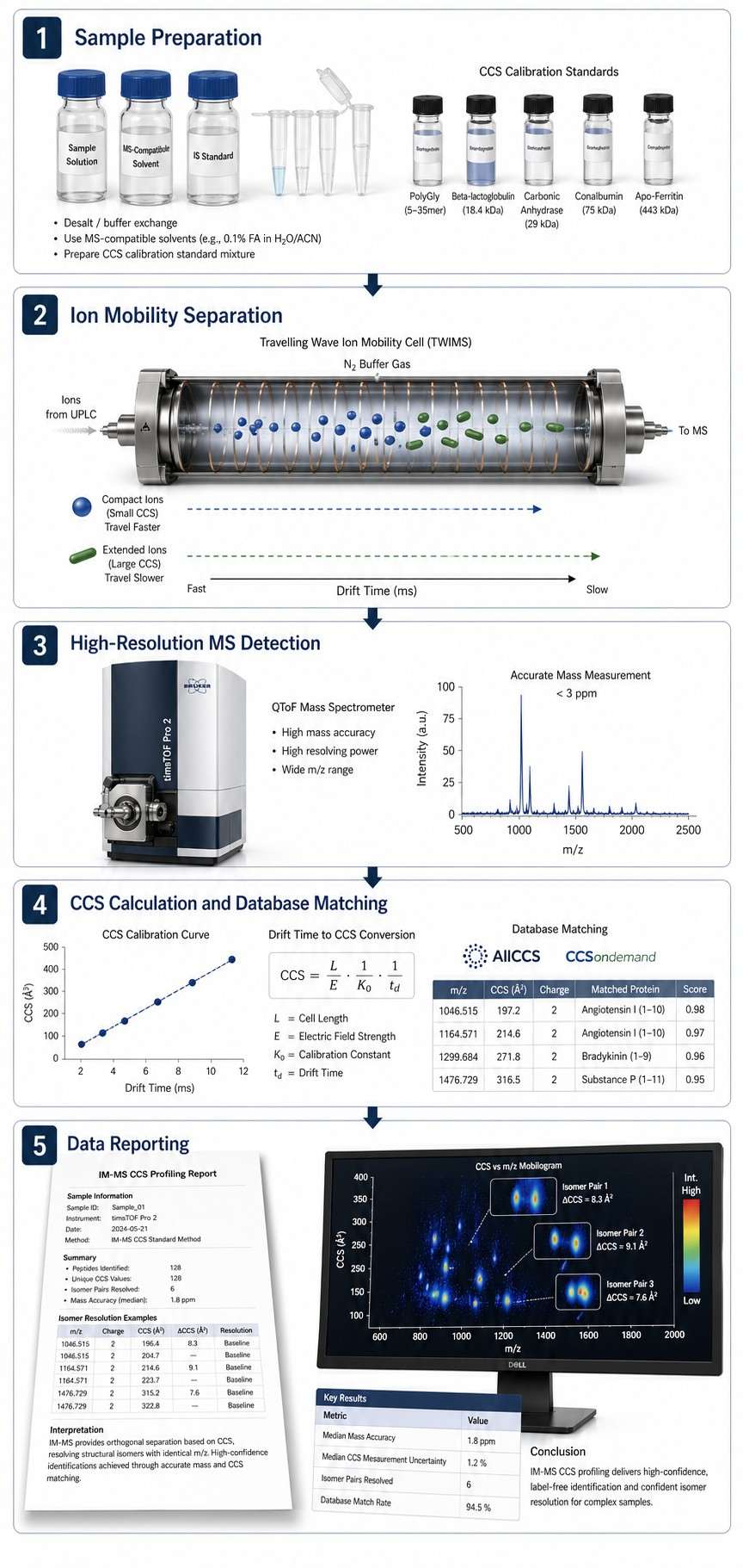 Five-step IM-MS CCS profiling workflow diagram: sample preparation, ion mobility separation, MS detection, CCS calculation, data reporting.