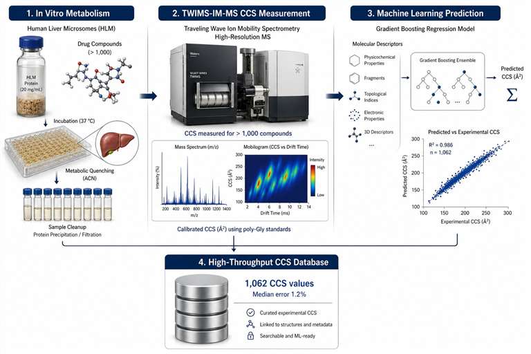 CCS database building workflow: drug metabolite generation, TWIMS measurement, CCS calculation, machine learning prediction, database matching.