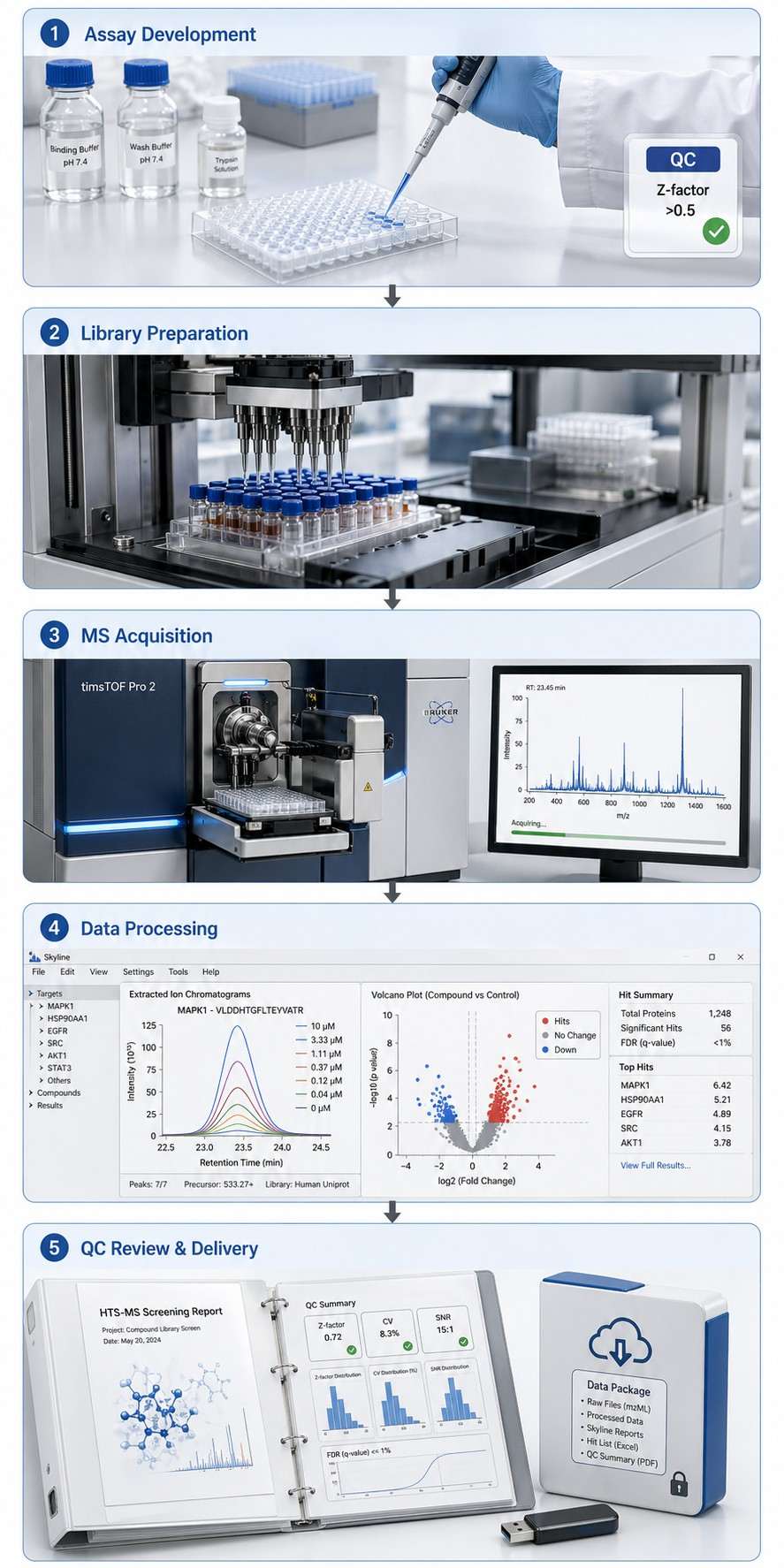 HTS-MS workflow diagram showing 5 stages from assay development to results packaging