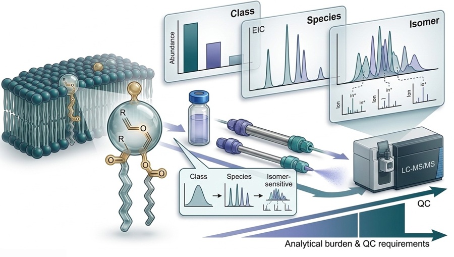 How to Analyze Plasmalogens by LC-MS/MS: From Species Resolution to Quantification Strategy