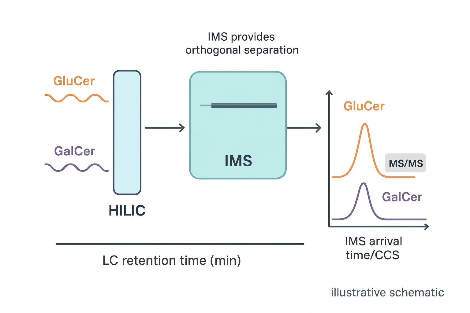 How to Separate GluCer vs GalCer: HILIC + TIMS LC–MS/MS