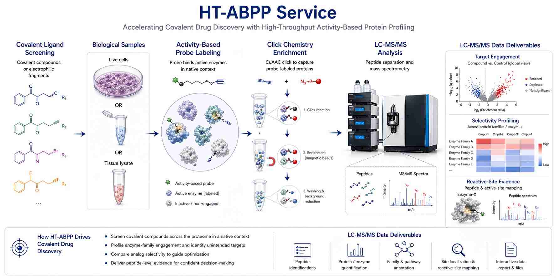 High-throughput activity-based protein profiling service workflow for covalent ligand discovery and target engagement.