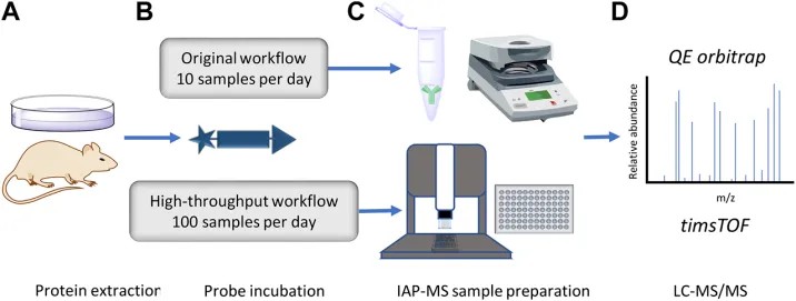 ABPP-HT workflow optimization figure for high-throughput cellular inhibitor profiling using activity-based probes and mass spectrometry.