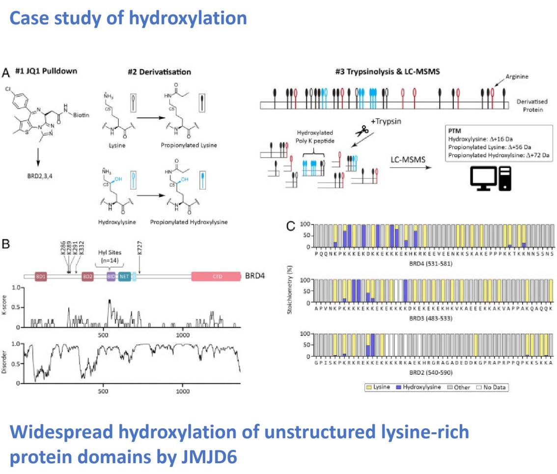 Hydroxylation case study
