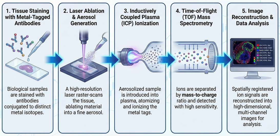 IMC workflow