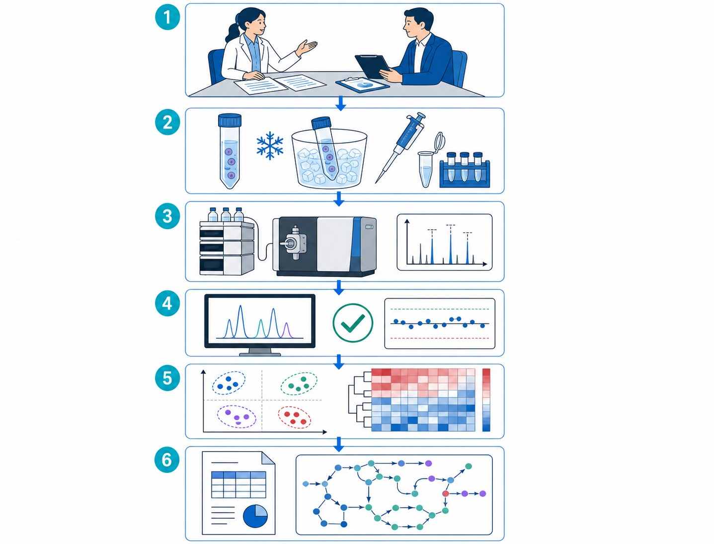 Immunometabolism MS profiling workflow diagram showing six steps from project consultation through sample preparation, LC-MS/MS acquisition, data processing, statistical analysis, and final report delivery.