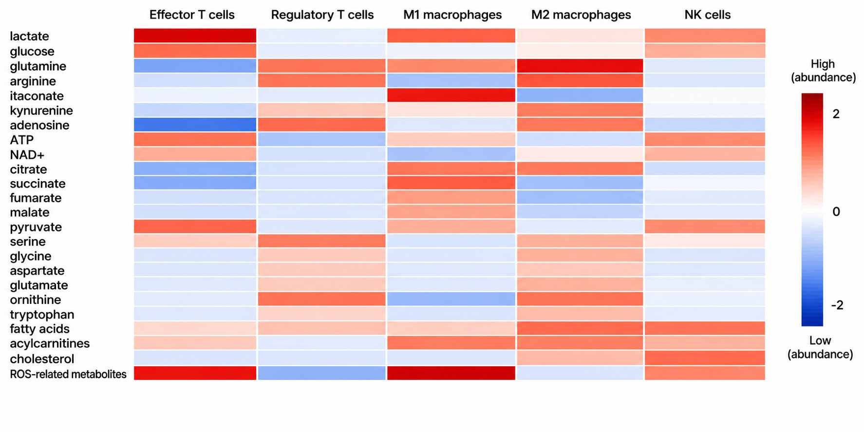 Heatmap of metabolic profiles across immune cell subsets showing distinct signatures for T cells, macrophages, and NK cells with effector T cells exhibiting elevated glycolysis markers.