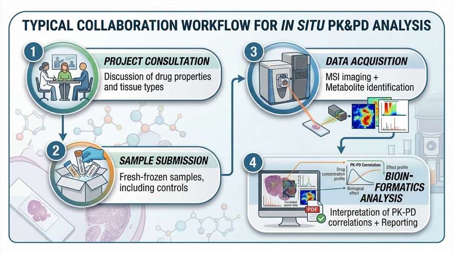 collaboration workflow of in situ PK&PD