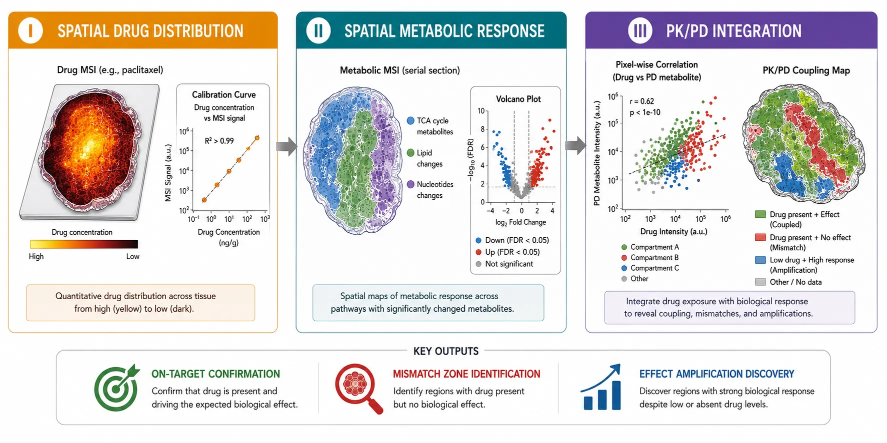 In Situ PK/PD Profiling by Mass Spectrometry Imaging: Integrating Spatial Drug Concentration with Pharmacodynamic Response