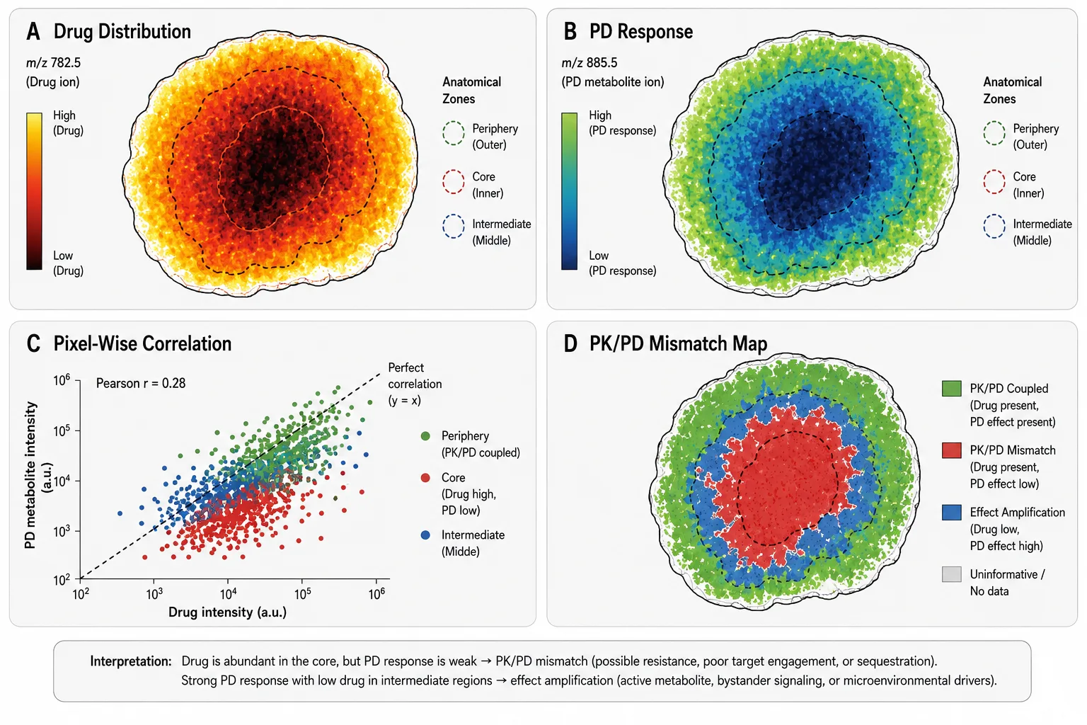 Pixel-wise PK/PD correlation from raw ion images to integrated spatial mismatch map
