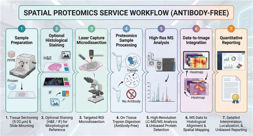 workflow of spatial proteomics analysis
