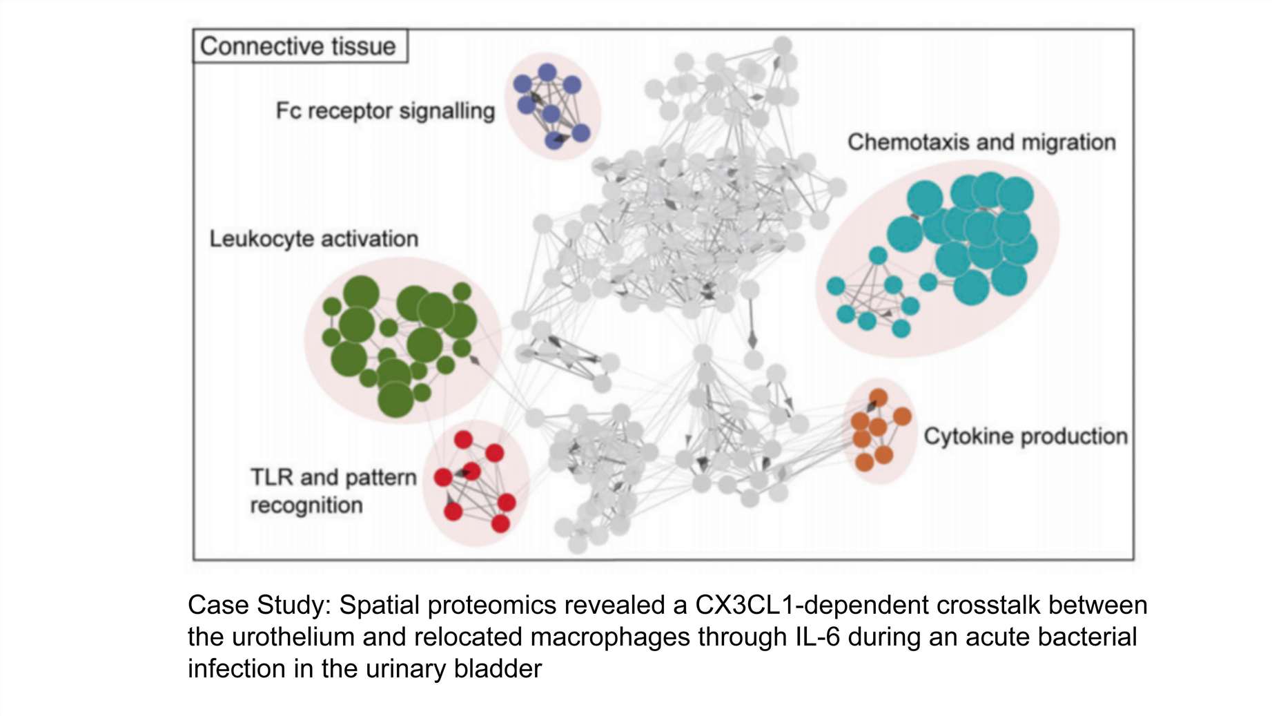 graphical abstract of spatial proteomics case study