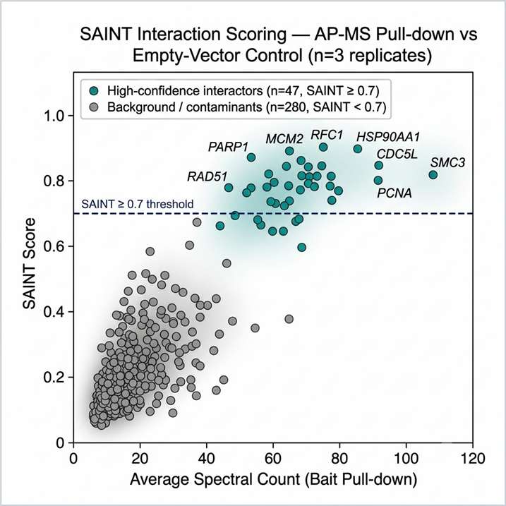 SAINT interaction scoring scatter plot from AP-MS interactomics experiment: x-axis shows average spectral count across replicates, y-axis shows SAINT score, high-confidence interactors above 0.7 threshold shown in teal, background contaminants below threshold in grey, with selected high-confidence interactors labelled by gene name.