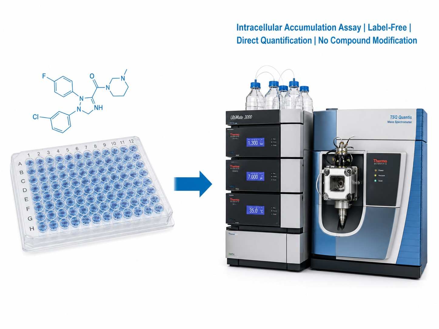 Intracellular accumulation assay by LC-MS/MS technology platform showing cell incubation, wash, lysis, and MS quantification workflow with key advantages.
