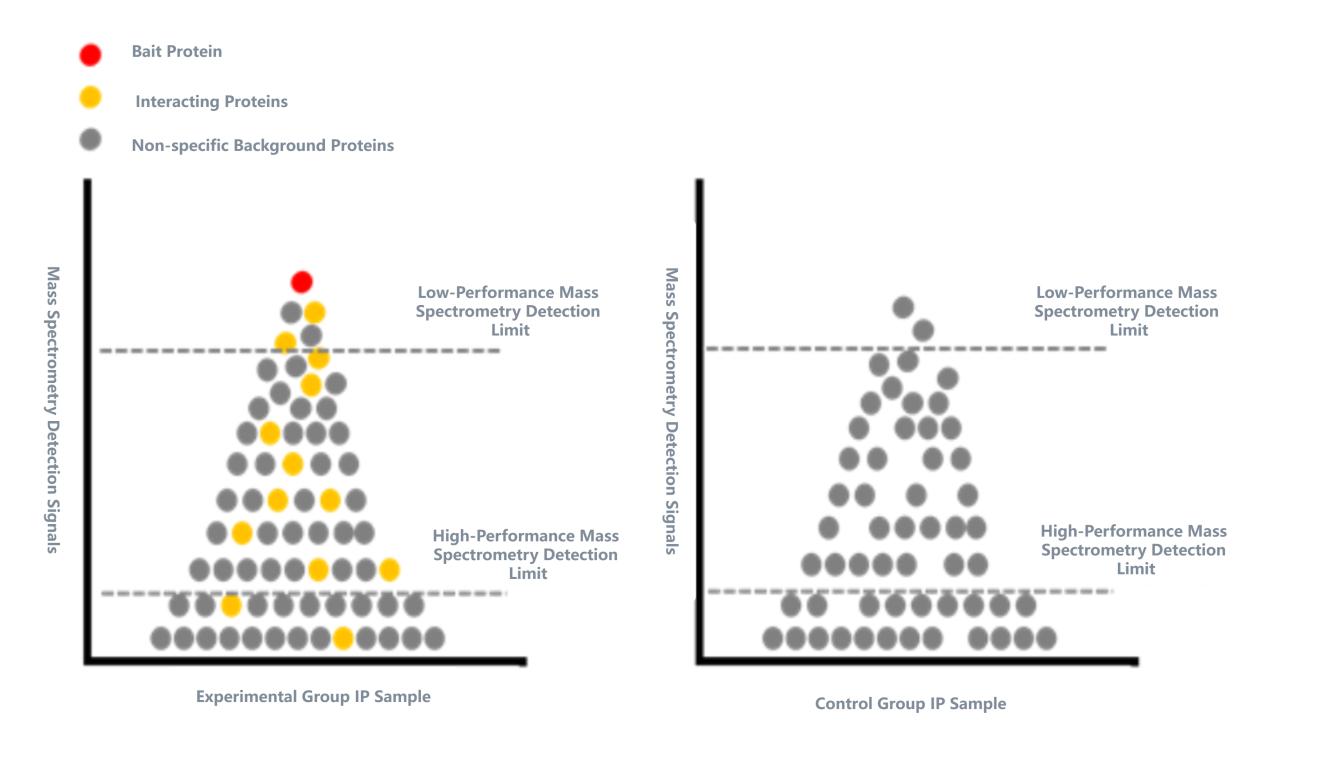 IP-MS Data Analysis