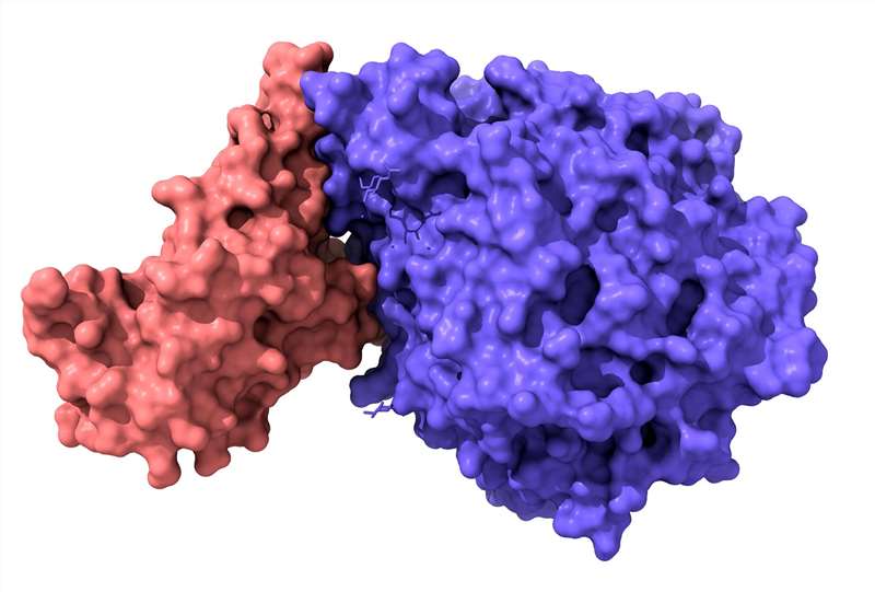 IP-MS Sample Preparation Guidelines