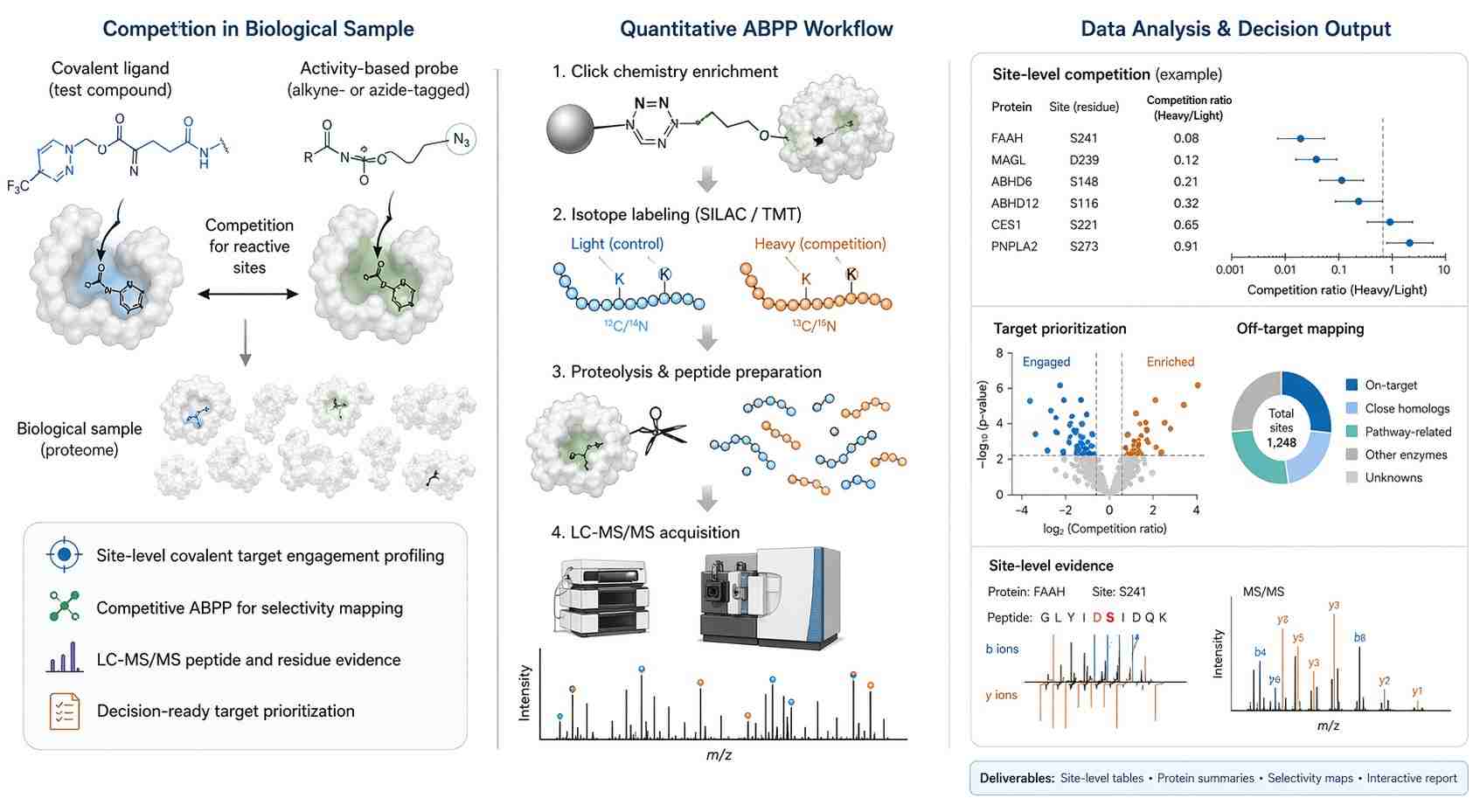 Quantitative ABPP service workflow for covalent ligand discovery and LC-MS/MS site-level profiling.