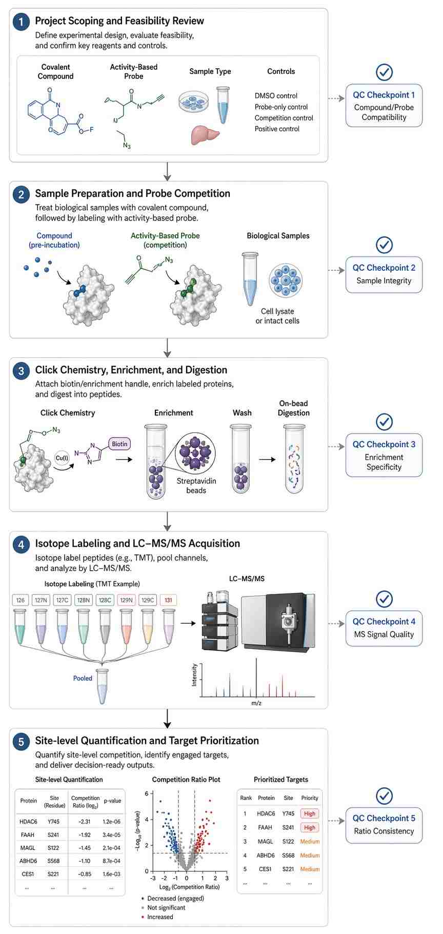 Vertical quantitative ABPP workflow with sample, enrichment, LC-MS/MS, and data QC checkpoints.