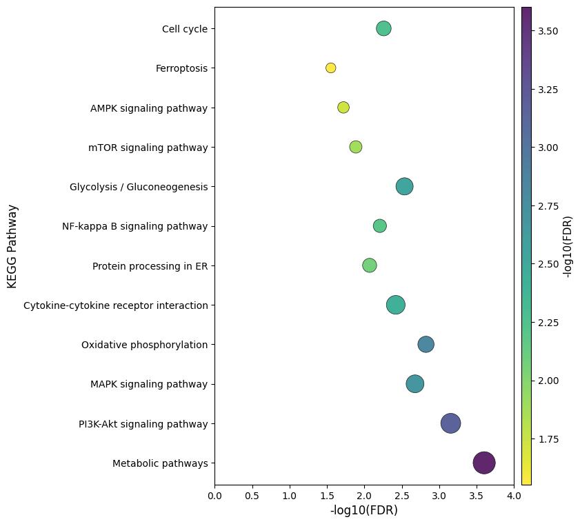 The plot is used to show the enrichment of itaconated proteins in different pathways.