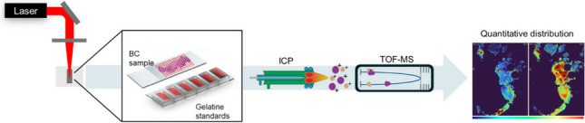  LA-ICP-MS abstract picture