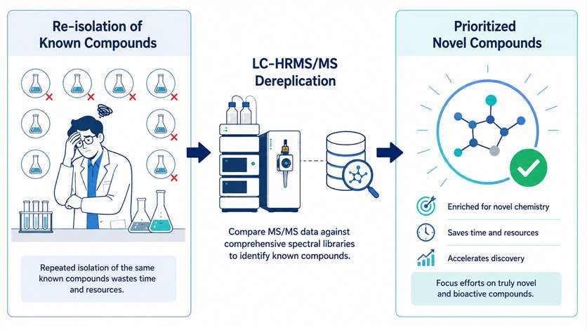 LC-HRMS/MS dereplication service overview — pain point of re-isolation of known compounds solved by high-resolution MS/MS database matching to prioritize novel natural products.