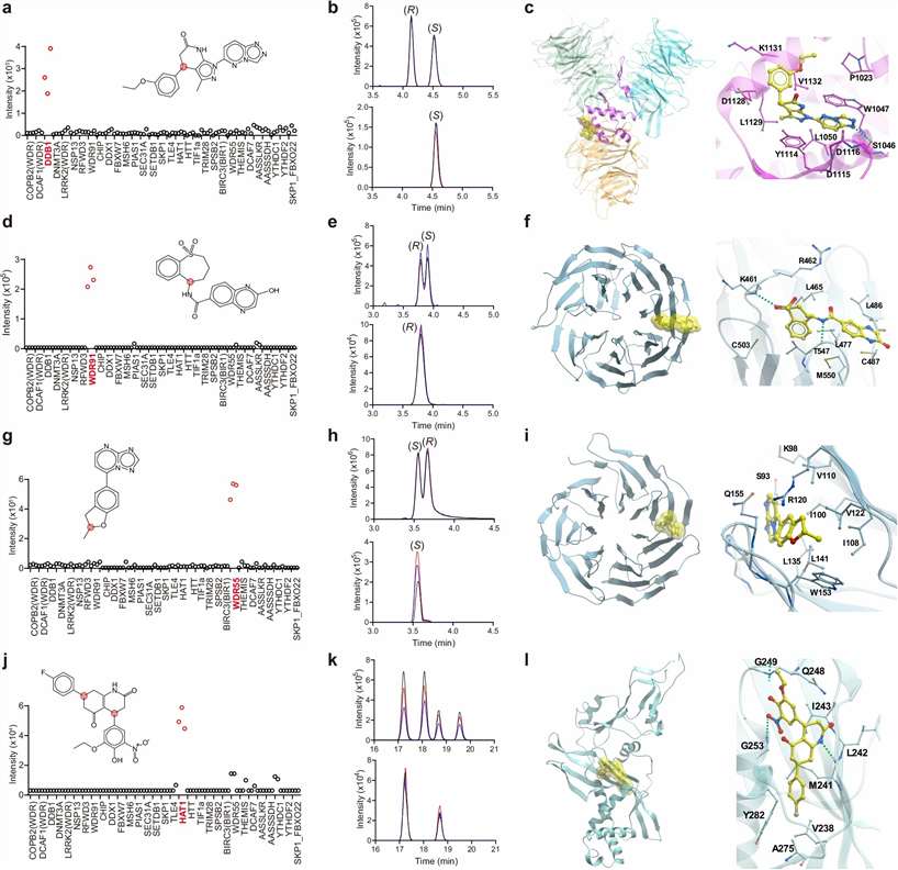 Figure adapted from Wang et al. 2025, Nature Communications, showing E-ASMS results for low-ligandability protein screening: enantiomeric enrichment ratios for identified hits, dose-response ASMS binding curves, and X-ray crystal structures confirming stereoselective binding modes for hit compounds against WDR91 and DDB1.