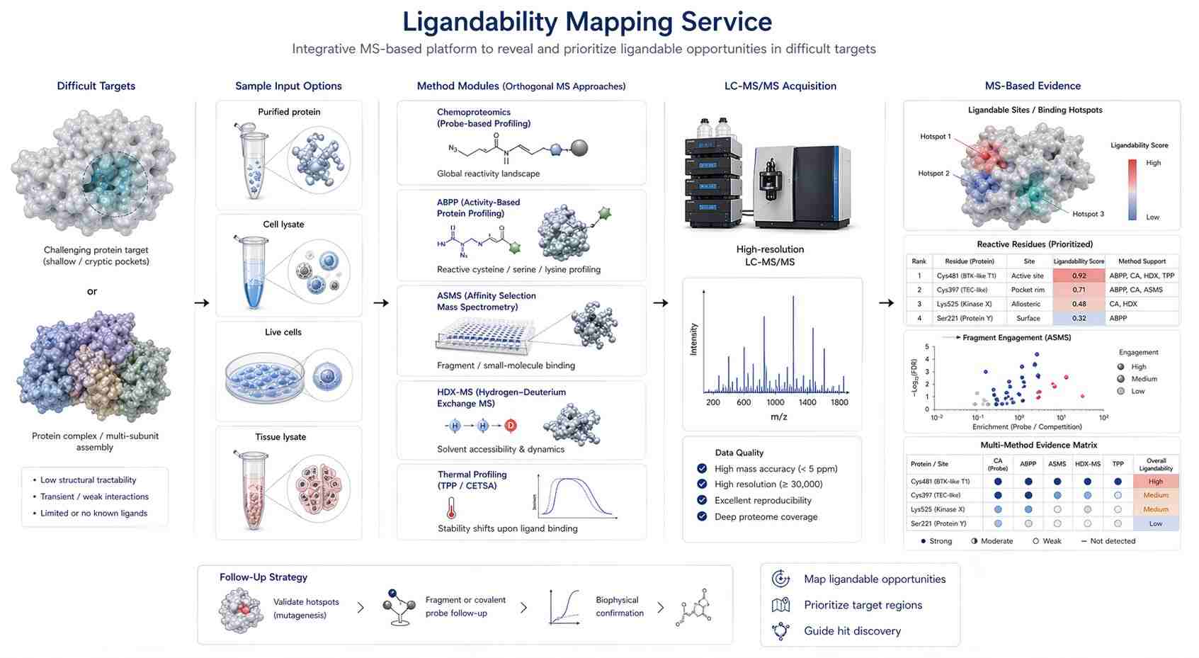 Ligandability mapping service overview showing difficult targets, sample types, MS workflows, hotspot maps, and evidence outputs.