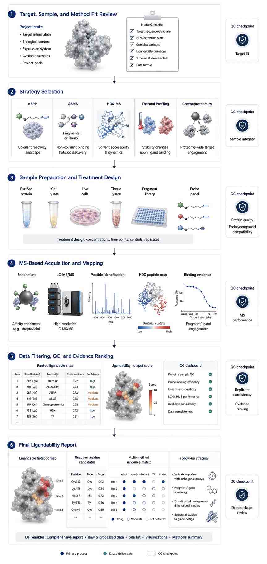 Vertical ligandability mapping workflow with QC checkpoints from target intake to final evidence report.