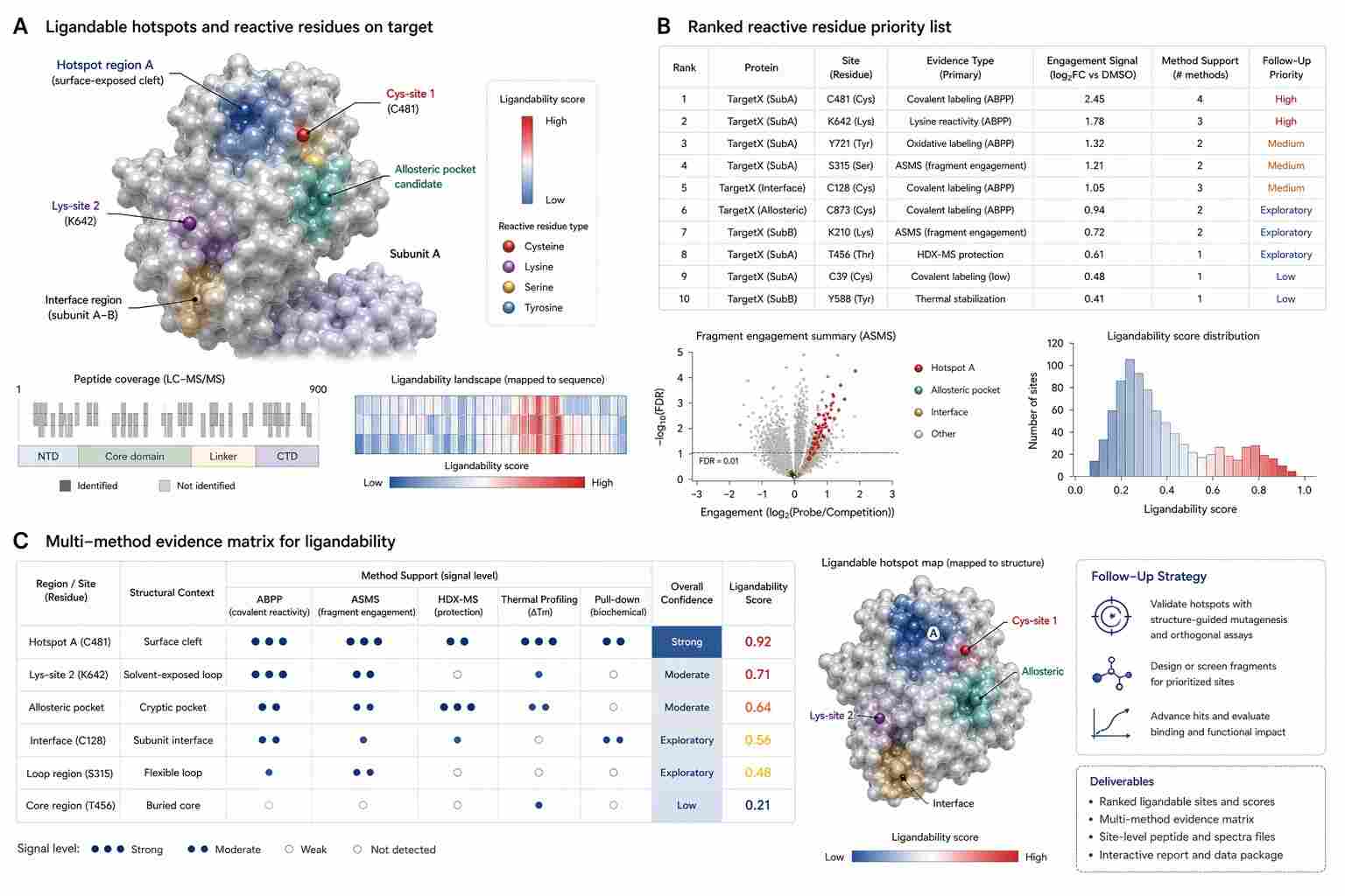 Representative ligandability mapping demo results with hotspot map, reactive residue table, and multi-method evidence matrix.