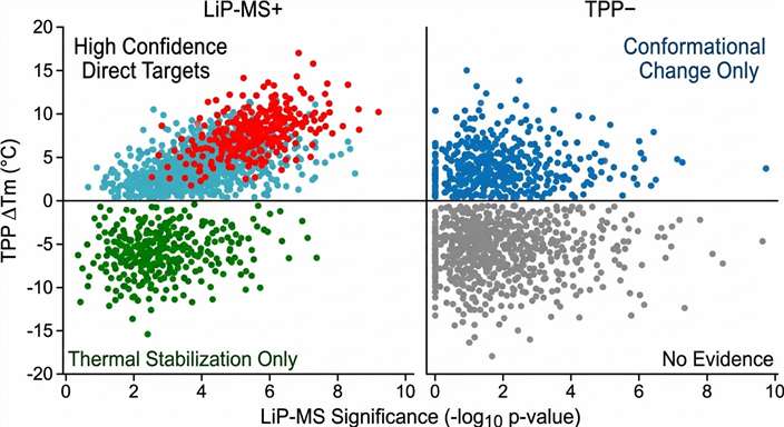 LiP-MS TPP 2x2 confidence matrix heatmap showing orthogonal validation categories for drug target identification