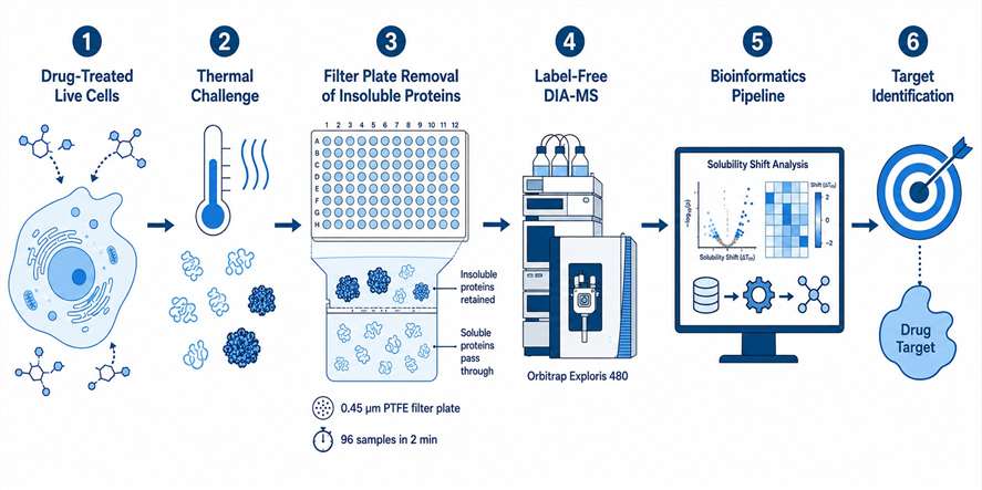 PISA workflow for drug target identification in live cells