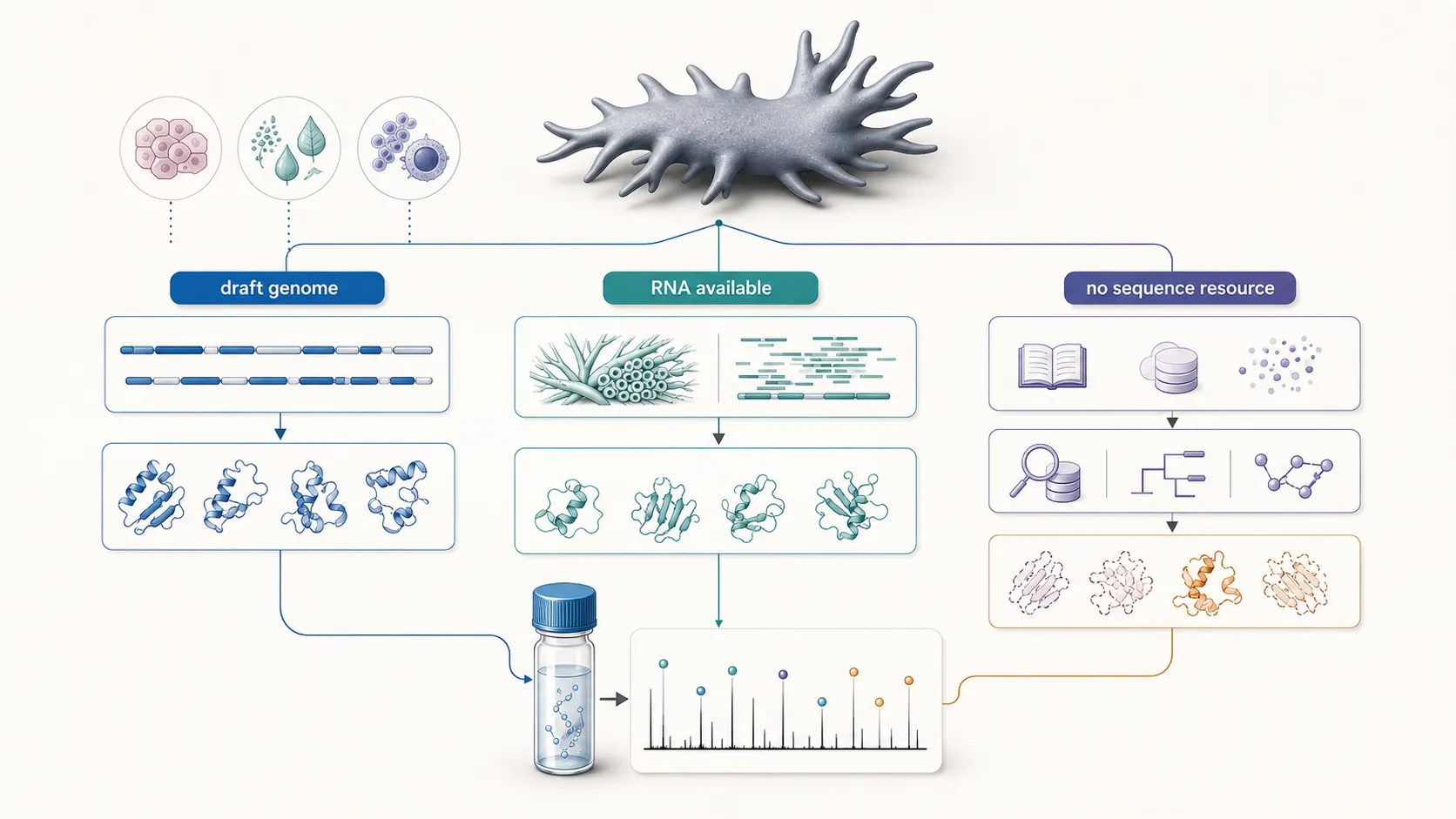 Decision tree connecting available genome and transcriptome evidence to database strategies for non-model organism proteomics.