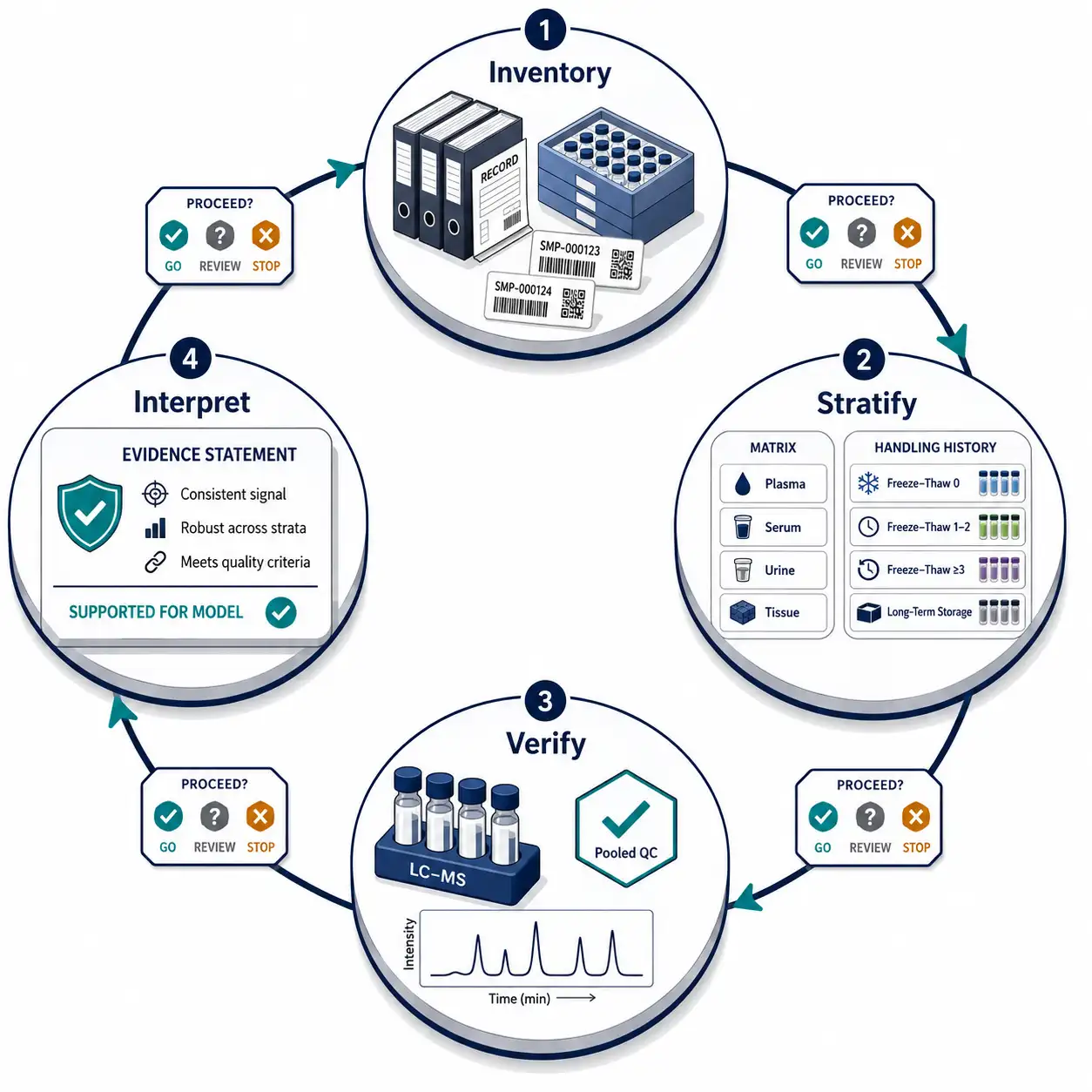 Four-phase archived NAD metabolomics implementation diagram with Inventory, Stratify, Verify, and Interpret stages, each containing a clear stop or proceed gate.