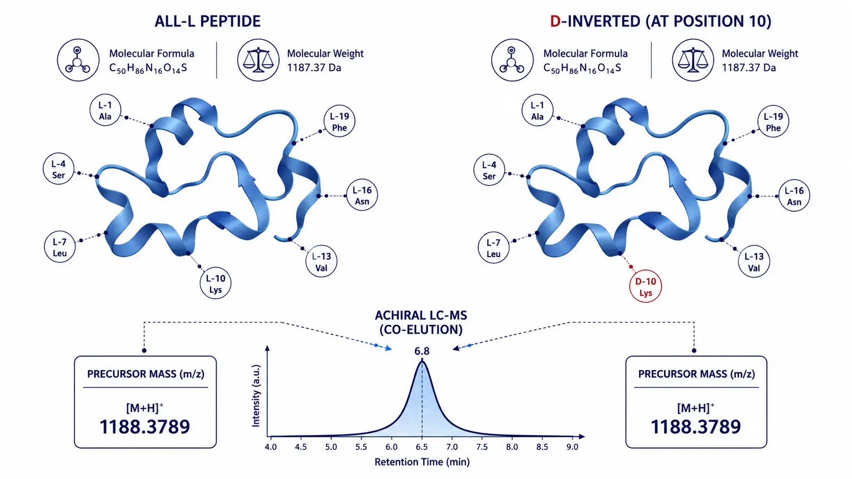 D-Amino-Acid Impurities in Synthetic Peptides: Why Standard LC-MS Misses Them and How Chiral Analysis Works
