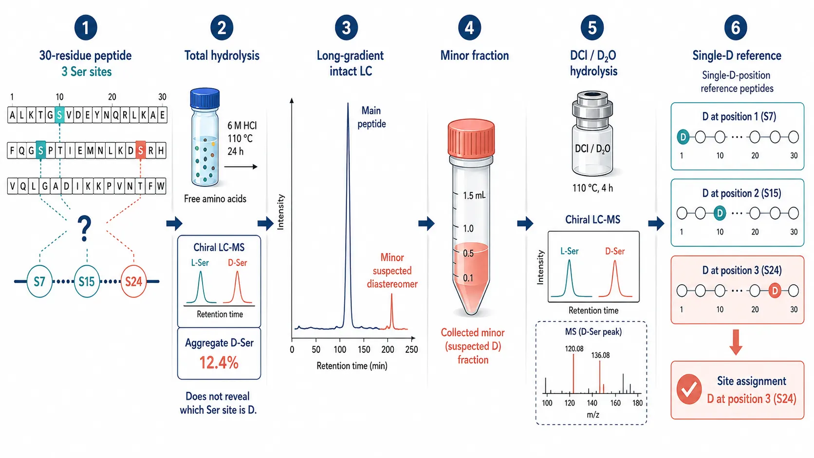 Two-dimensional site-assignment workflow showing intact peptide fractionation, collection of a suspected diastereomeric fraction, DCl/D2O hydrolysis with chiral LC-MS, and comparison to single-D-position reference peptides.
