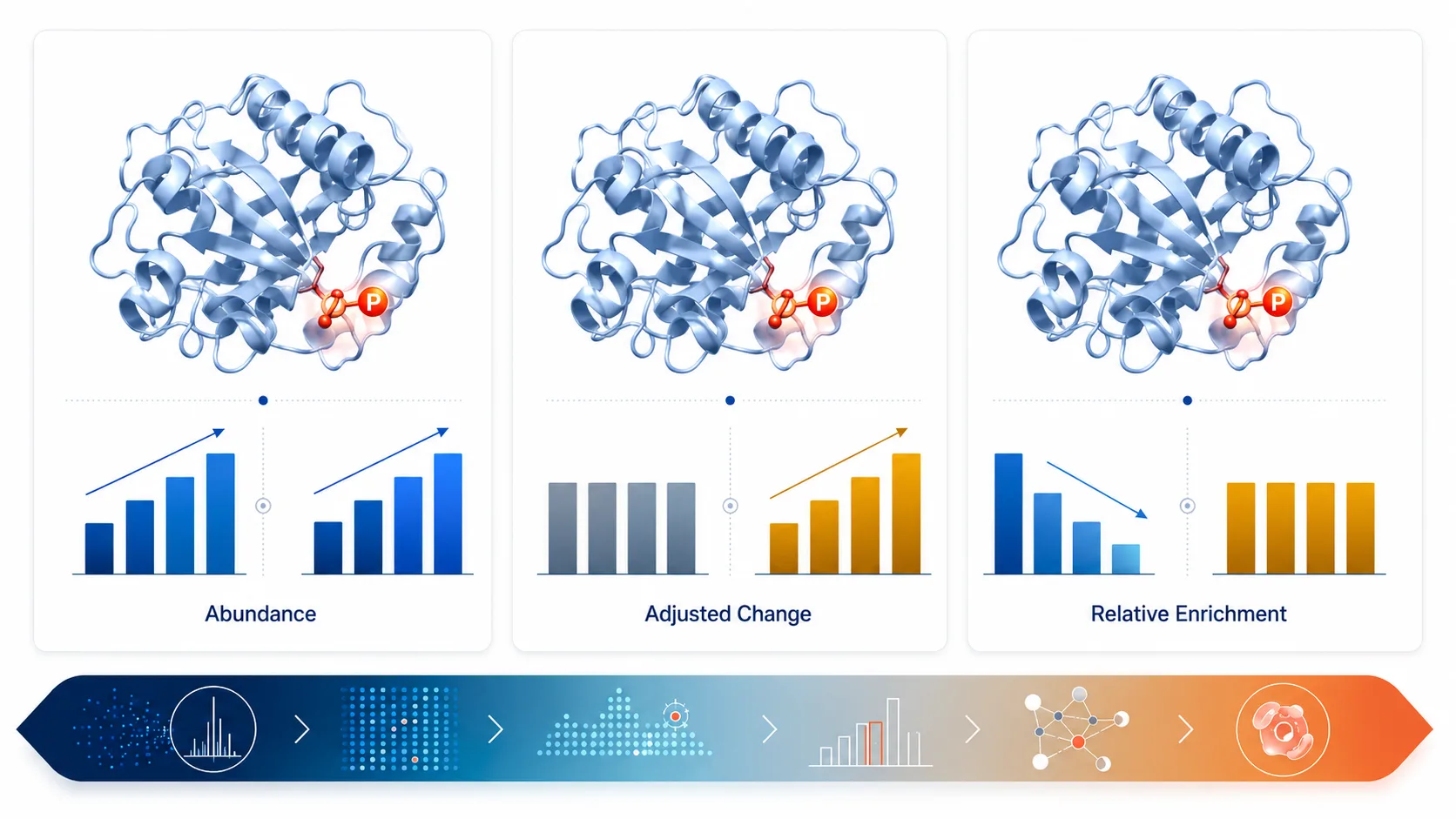 How to Design Paired Phosphoproteomics and Total-Proteome Experiments Without Misreading Abundance Changes