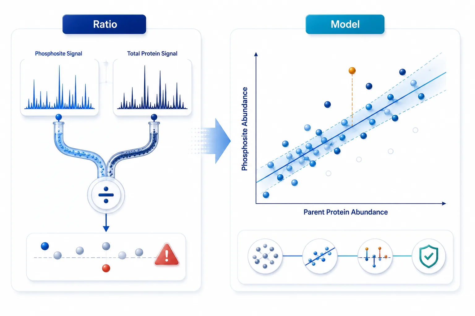 Comparison of a simple phosphopeptide-minus-total-protein ratio with a protein-adjusted regression model, showing how low-confidence total-protein measurements can create unstable ratio values.