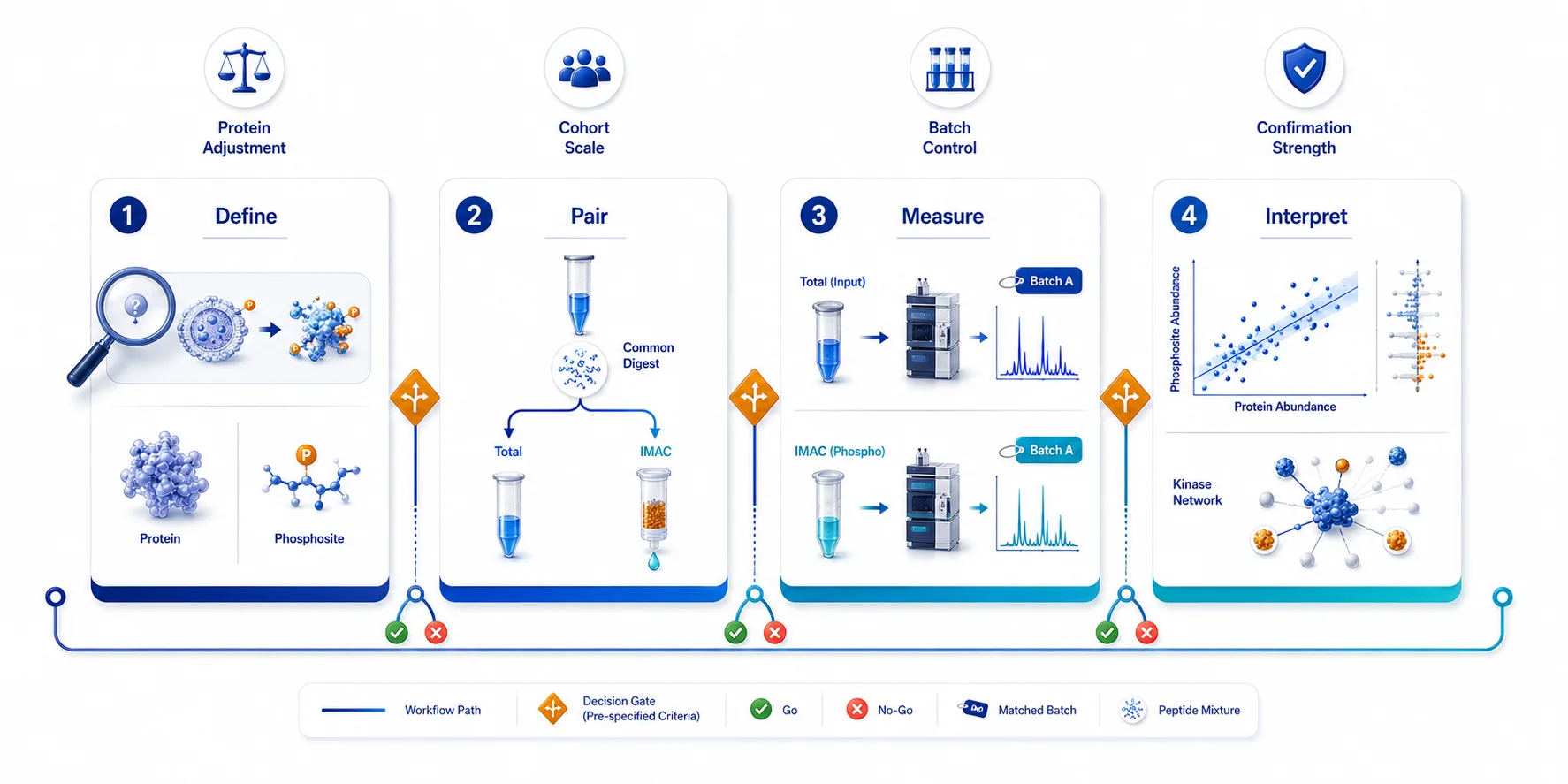 Four-phase paired phosphoproteomics roadmap from inference definition through common-digest splitting, total-proteome and IMAC branches, and protein-adjusted modeling with kinase-pathway interpretation.