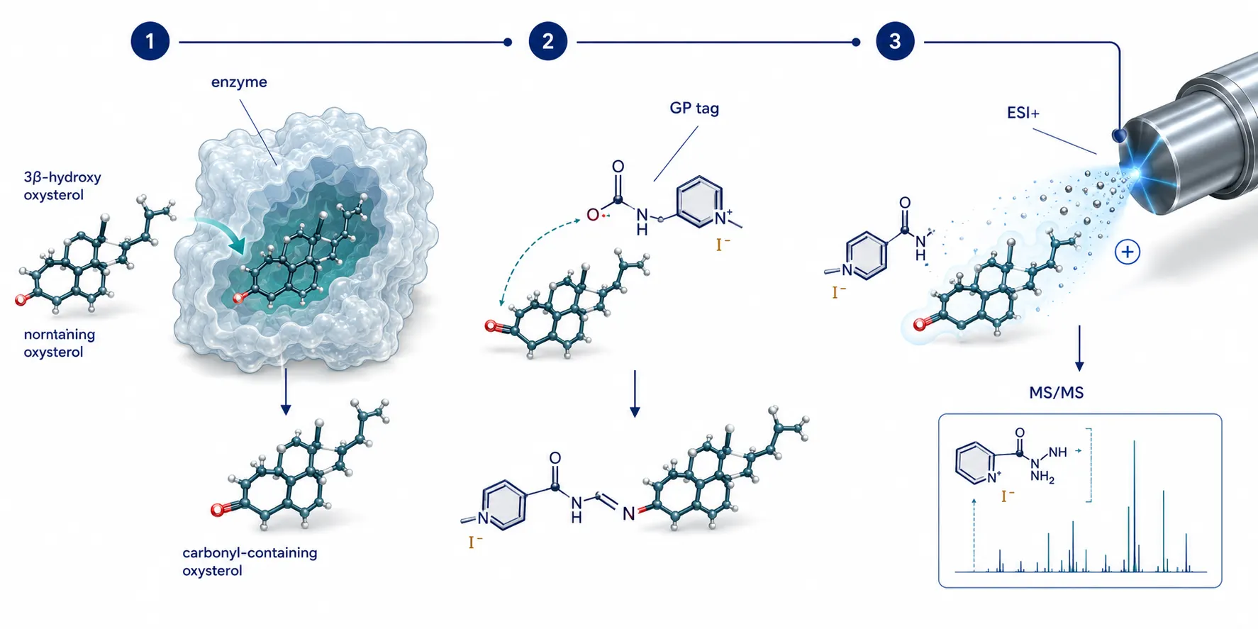 Soft 3D molecular workflow showing cholesterol oxidase converting a 3beta-hydroxy sterol to a carbonyl form, Girard P charge tagging, and a positive-ion LC-MS signal with an informative fragmentation branch.