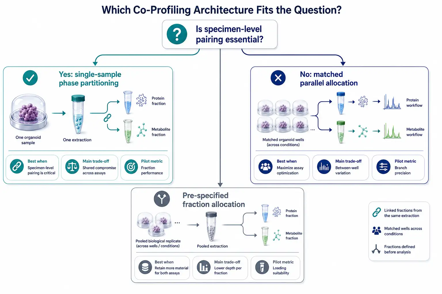 A practical decision tree titled Same-Sample or Parallel Organoid Multi-Omics. It starts with the question of whether specimen-level pairing is essential, then branches to phase partitioning, parallel allocation, or pre-specified fraction allocation. Each branch lists the main advantage, risk, and pilot metric to review.