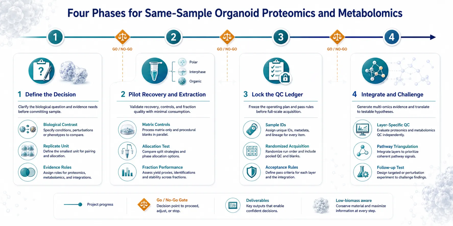 A polished four-stage roadmap for organoid proteomics and metabolomics from the same sample. The stages are Define the Decision, Pilot Recovery and Extraction, Lock the QC Ledger, and Integrate and Challenge. Each stage has concrete deliverables, a decision gate, and a restrained blue, teal, and amber scientific design.