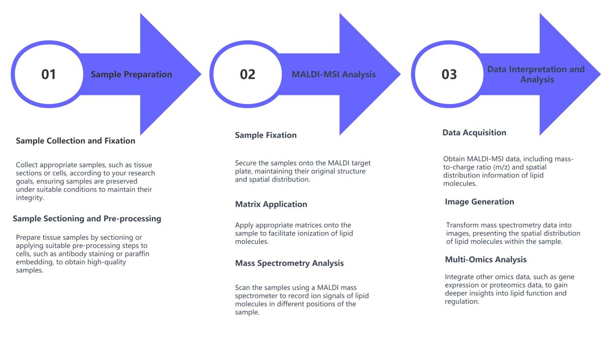MALDI-MSI Lipidomics Service Workflow